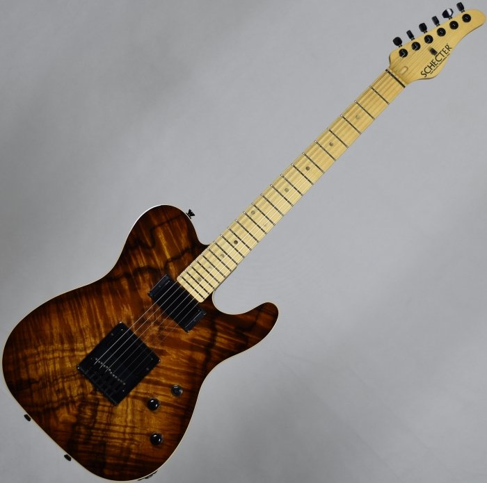 SPOTにPS-PT-P90/RNT/Rが掲載されました | SCHECTER