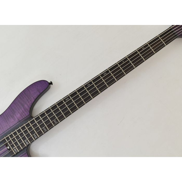 Schecter C-5 GT Bass Satin Trans Purple | LV Guitars