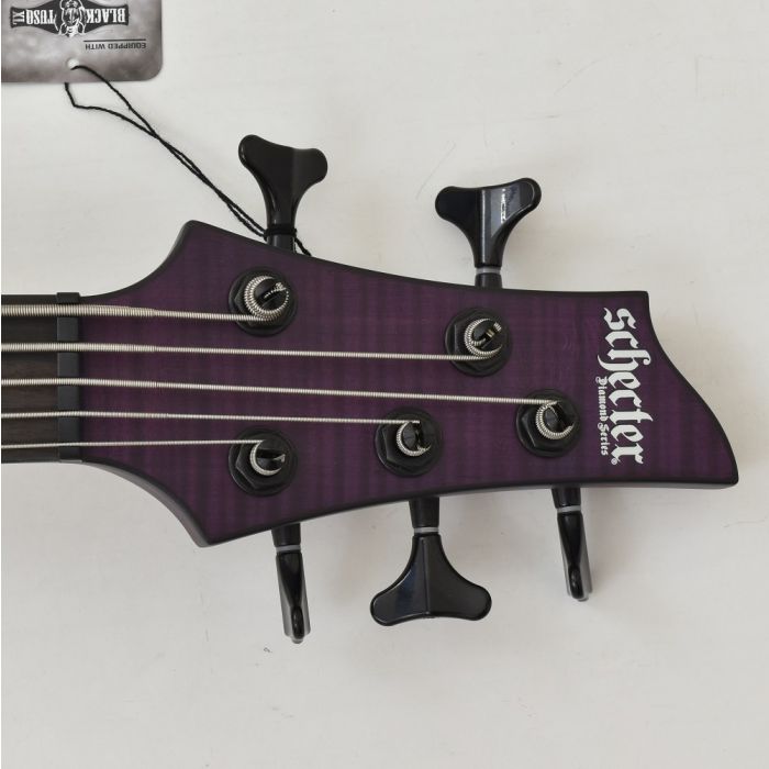 Schecter C-5 GT Bass Satin Trans Purple | LV Guitars