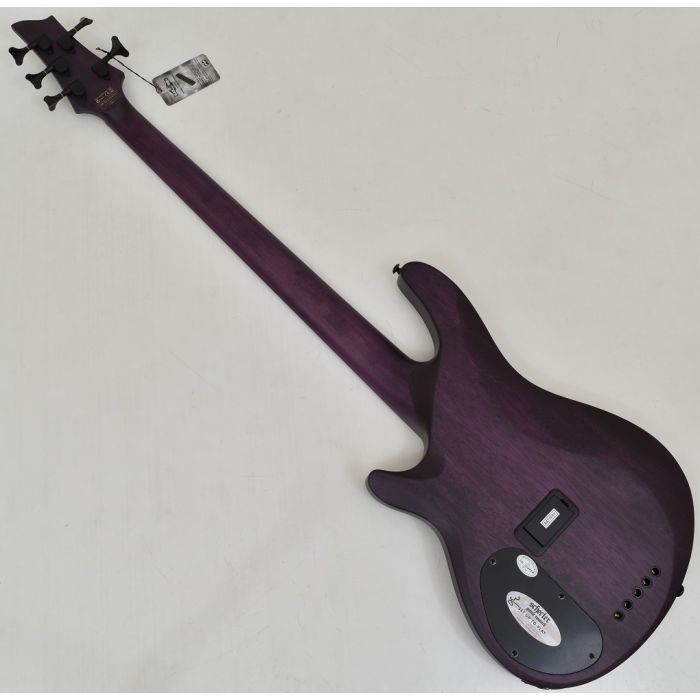 Schecter C-5 GT Bass Satin Trans Purple | LV Guitars