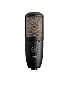 AKG P220 High-Performance Large Diaphragm True Condenser Microphone sku number 3101H00420