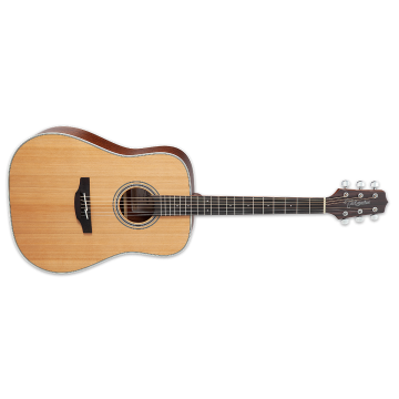 Takamine GD20 NS acoustic sku number TAKGD20NS