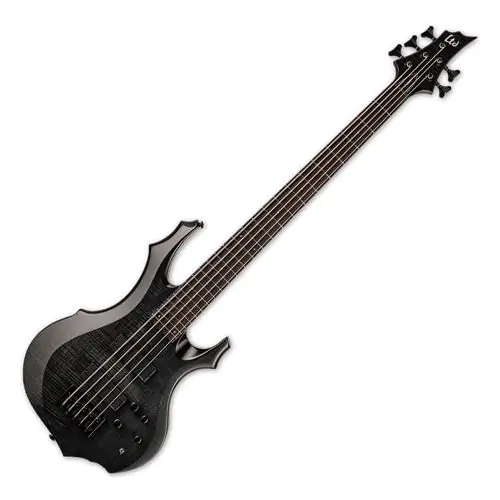 ESP LTD F-1005 5 String Electric Bass See Thru Black sku number LF1005FMSTBLK