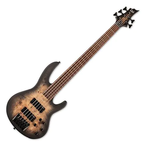 ESP LTD D-5 5 String Electric Bass Black Natural Burst Satin sku number LD5BPBLKNBS