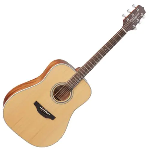 Takamine GD20-NS G-Series G20 Acoustic Guitar in Natural Finish sku number TAKGD20NS