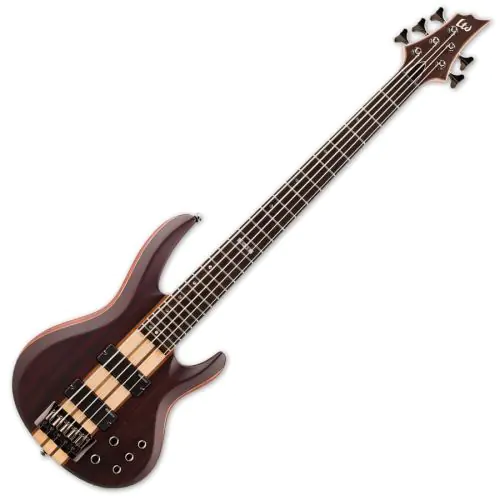 ESP LTD B-5E Bass in Natural Stain sku number LB5ENS