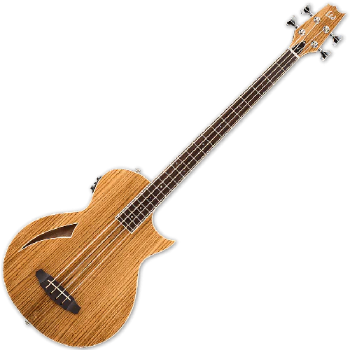 ESP LTD TL-4Z Thinline Acoustic Electric Bass in Natural Finish sku number LTL4ZNAT