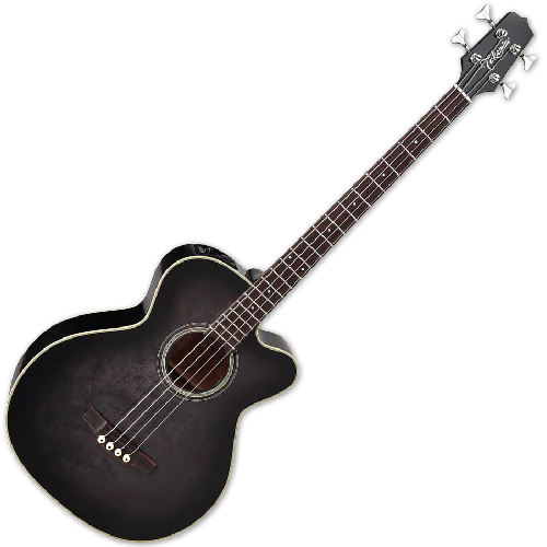 Takamine PB5 SBL Pro Series Acoustic Guitar See Thru Black B-Stock sku number TAKPB5SBL.B