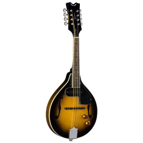 Dean Tennessee Acoustic Electric Mandolin Magnetic & Piezo VS TNAE MP VS sku number TNAE MP VS