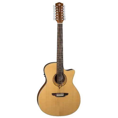 Luna Heartsong 12 String A/E w/USB SONG 12 sku number SONG 12