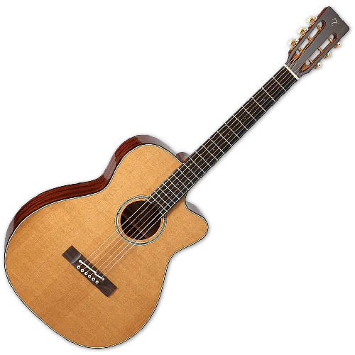 Takamine EF740FSTT Thermal Top Acoustic Guitar in Natural Finish B Stock sku number TAKEF740FSTT.B