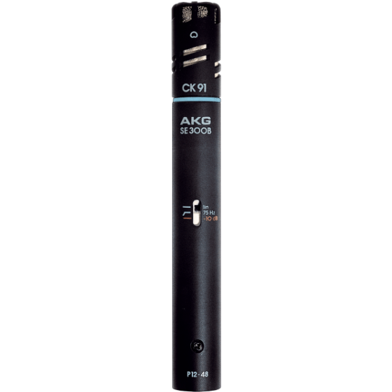 AKG C391 B High Performance Condenser Microphone sku number 2442Z00010