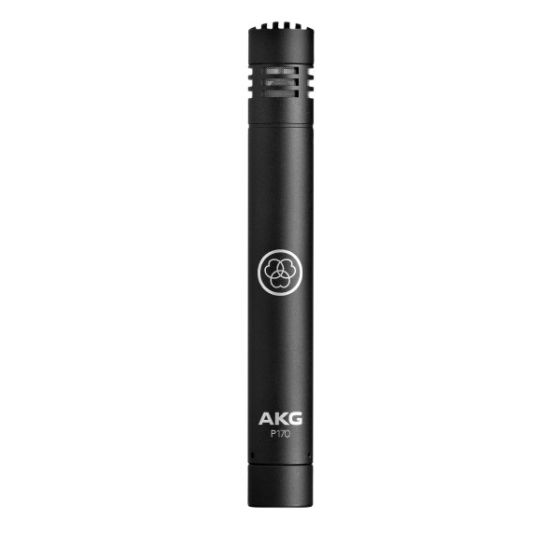 AKG P170 High-Performance Instrumental Microphone sku number 3101H00410