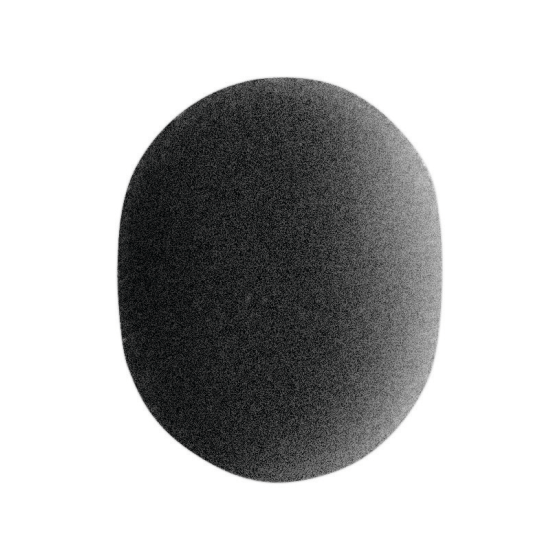 AKG W77 MP Windscreen sku number 6000H05780