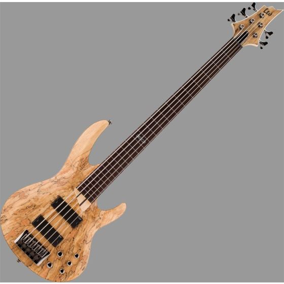 ESP LTD B-205SM Fretless Bass Guitar in Natural Stain Finish sku number LB205SMFLNS