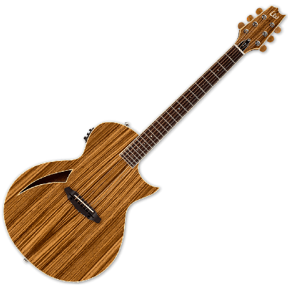 Esp piezo guitar cheap
