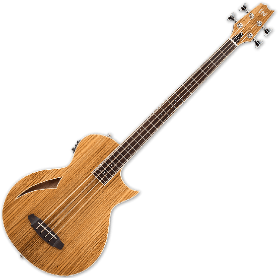 ESP LTD TL-4Z Thinline Acoustic Electric Bass in Natural Finish sku number LTL4ZNAT