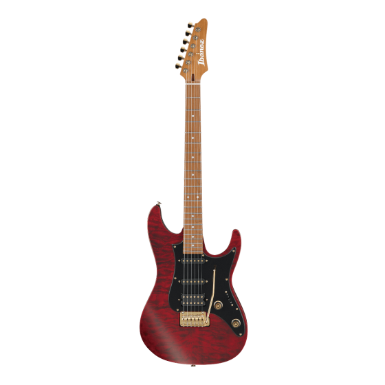 Ibanez Scott LePage SLM10 TRM Signature Transparent Red Matte Electric Guitar w/Bag sku number SLM10TRM