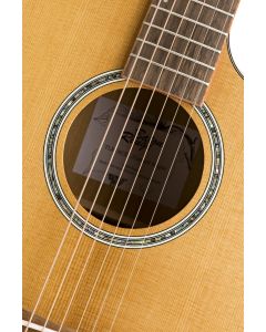 Baton Rouge TLM/ACEC Acoustic Electric Guitar sku number 151044