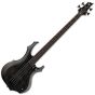 ESP LTD F-1004 Electric Bass See Thru Black sku number LF1004FMSTBLK