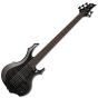 ESP LTD F-1005 5 String Electric Bass See Thru Black sku number LF1005FMSTBLK