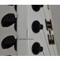 ESP E-II EX NT Guitar in Snow White B-Stock 22213 sku number EIIEXNTSW.B 22213