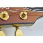 ESP LTD EC-1000 Gold Andromeda Guitar B-Stock 2601 sku number LEC1000GOLDAND.B 2601