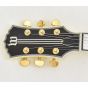 Wylde Audio Odin Grail Genesis Bullseye Lefty B-Stock 0020 sku number WYLDE4524.B0020