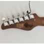 Schecter Nick Johnston PT Guitar Atomic Ink B-Stock 3004 sku number SCHECTER1733.B3004