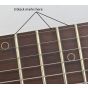 Schecter Nick Johnston PT Guitar Atomic Ink B-Stock 3004 sku number SCHECTER1733.B3004