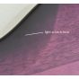 Schecter Stiletto Studio-5 Bass Trans Purple Burst B-Stock 1488 sku number SCHECTER729.B1488