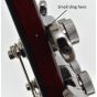 Schecter Hellraiser C-VI Guitar Black Cherry B-Stock 0446 sku number SCHECTER184.B0446