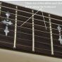 Schecter Omen-8 Guitar Walnut Satin B-Stock 0069 sku number SCHECTER2074.B0069
