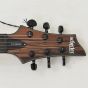 Schecter C-1 Exotic Ebony Guitar Natural Satin B-Stock 1732 sku number SCHECTER3337.B1732