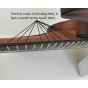 Schecter C-1 Exotic Ebony Guitar Natural Satin B-Stock 1732 sku number SCHECTER3337.B1732