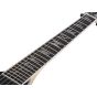 Wylde Audio Nordic Ice Electric Guitar sku number SCHECTER4538