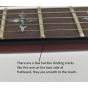 Schecter Hellraiser C-1 FR-S Lefty Guitar Black Cherry B-Stock 3881 sku number SCHECTER1828.B3881