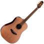 Takamine FN15AR Limited Dreadnought Acoustic Guitar sku number TAKFN15AR