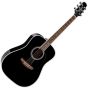 Takamine FT341 Limited Dreadnought Acoustic Guitar sku number TAKFT341