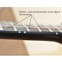 Schecter Synyster Standard FR Guitar Black B-Stock 3725 sku number SCHECTER1739.B3725