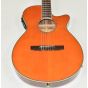 Ibanez AEG10NII Classical Acoustic Electric Guitar Tangerine B-Stock 0242 sku number AEG10NIITNG.B 0242