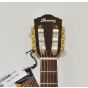 Ibanez AEG10NII Classical Acoustic Electric Guitar Tangerine B-Stock 0242 sku number AEG10NIITNG.B 0242