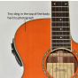 Ibanez AEG10NII Classical Acoustic Electric Guitar Tangerine B-Stock 0605 sku number AEG10NIITNG.B 0605