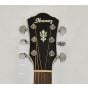 Ibanez AEG10NIITBS Classical Acoustic Electric Guitar Transparent Blue Sunburst B-Stock 0082 sku number AEG10NIITBS.B 0082