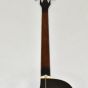 Ibanez AEB10E-DVS Artwood Series Acoustic Electric Bass in Dark Violin Sunburst High Gloss Finish 0520 sku number AEB10EDVS.B-0520