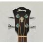 Ibanez AEB10E-DVS Artwood Series Acoustic Electric Bass in Dark Violin Sunburst High Gloss Finish 9620 sku number AEB10EDVS.B-9620