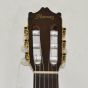 Ibanez GA6CE Classical Electric Acoustic Guitar  B-Stock 0068 sku number GA6CE.B0068