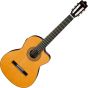 Ibanez GA6CE Classical Electric Acoustic Guitar  B-Stock 0068 sku number GA6CE.B0068