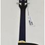 Ibanez PF15ECEWC-TBS PF Series Acoustic Guitar in Transparent Blue Sunburst High Gloss Finish 2222 sku number PF15ECEWCTBS.B 2222