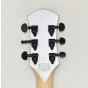 Wylde Audio Odin Grail Guitar Silver Bullseye B0080 sku number SCHECTER4535-B0080